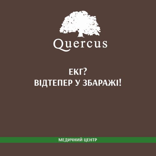 Quercus 15