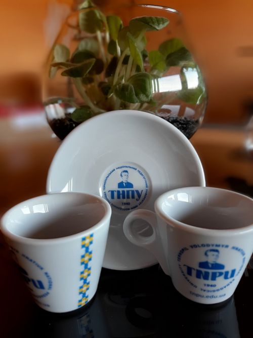 chashka tnpy 2