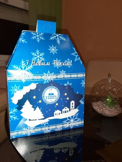 Подарункова Новорічна коробка для ТНПУ
