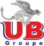 Розробка логотипу та виготовлення вивіски для компанії "UB Groupe"